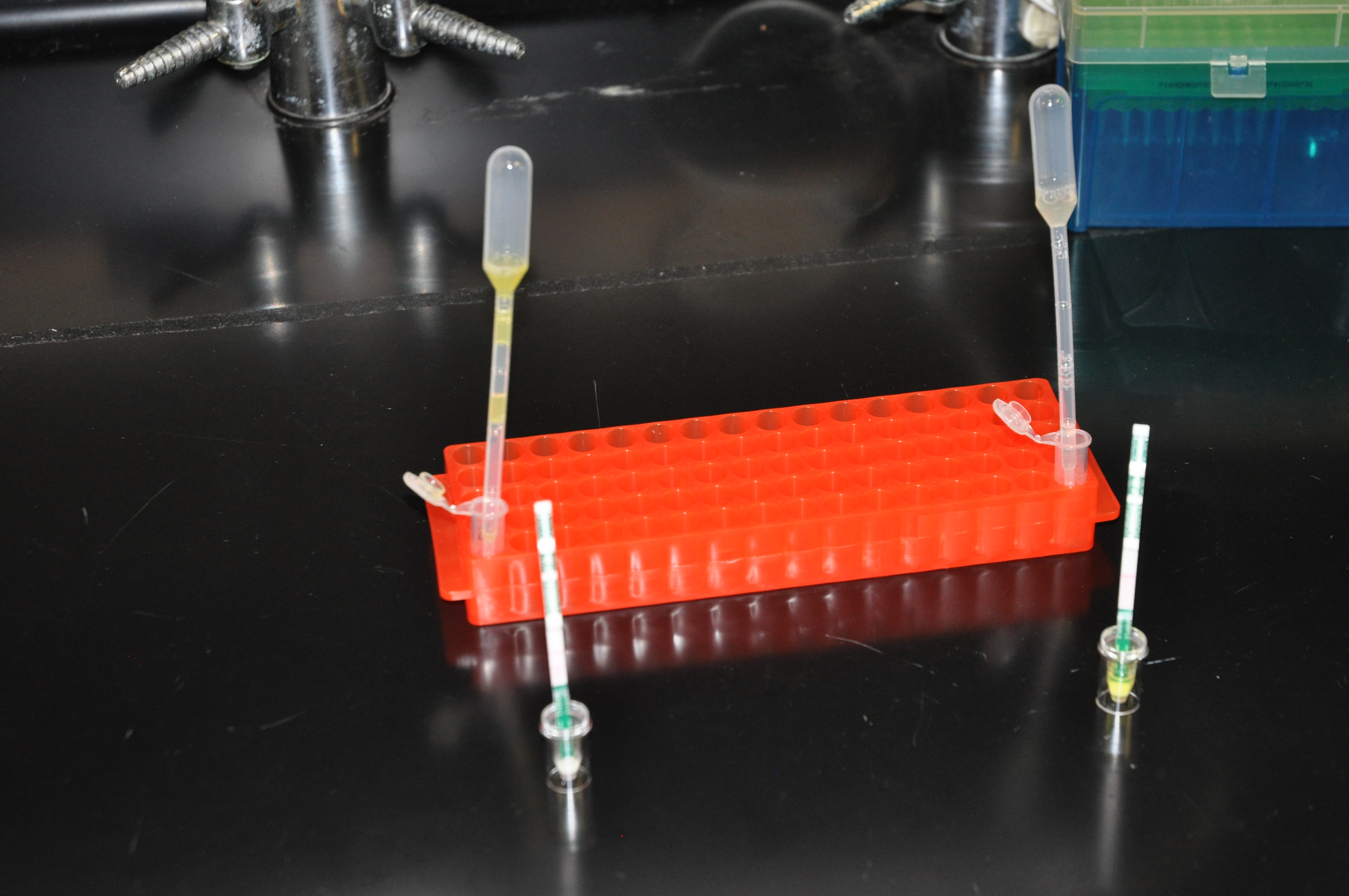 Dipstick Assay